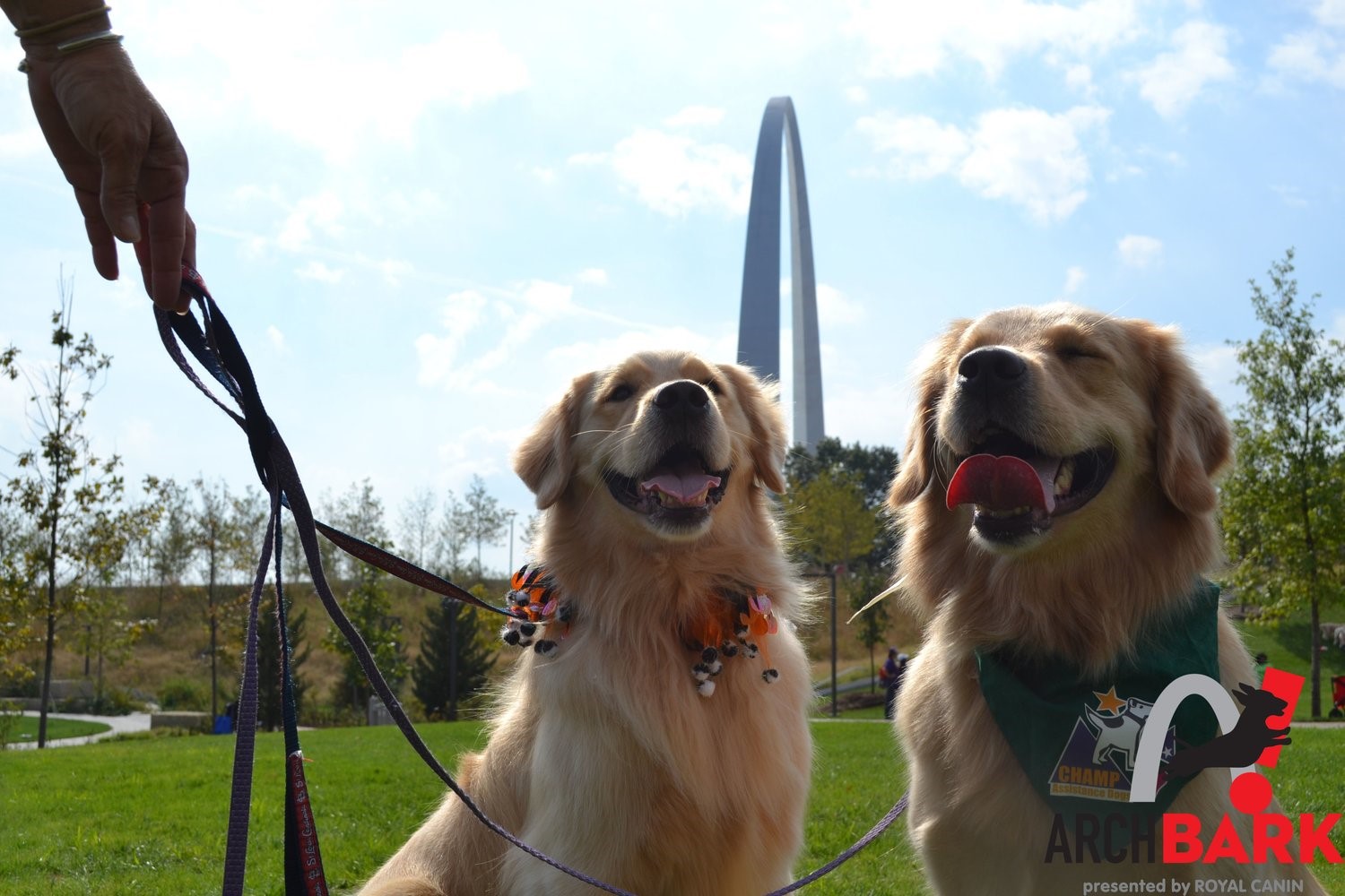 Dogs with the Gateway Arch in the background